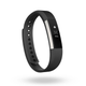 Illustration for article titled Fitbit Doubles Down on Fashion With Fitbit Alta